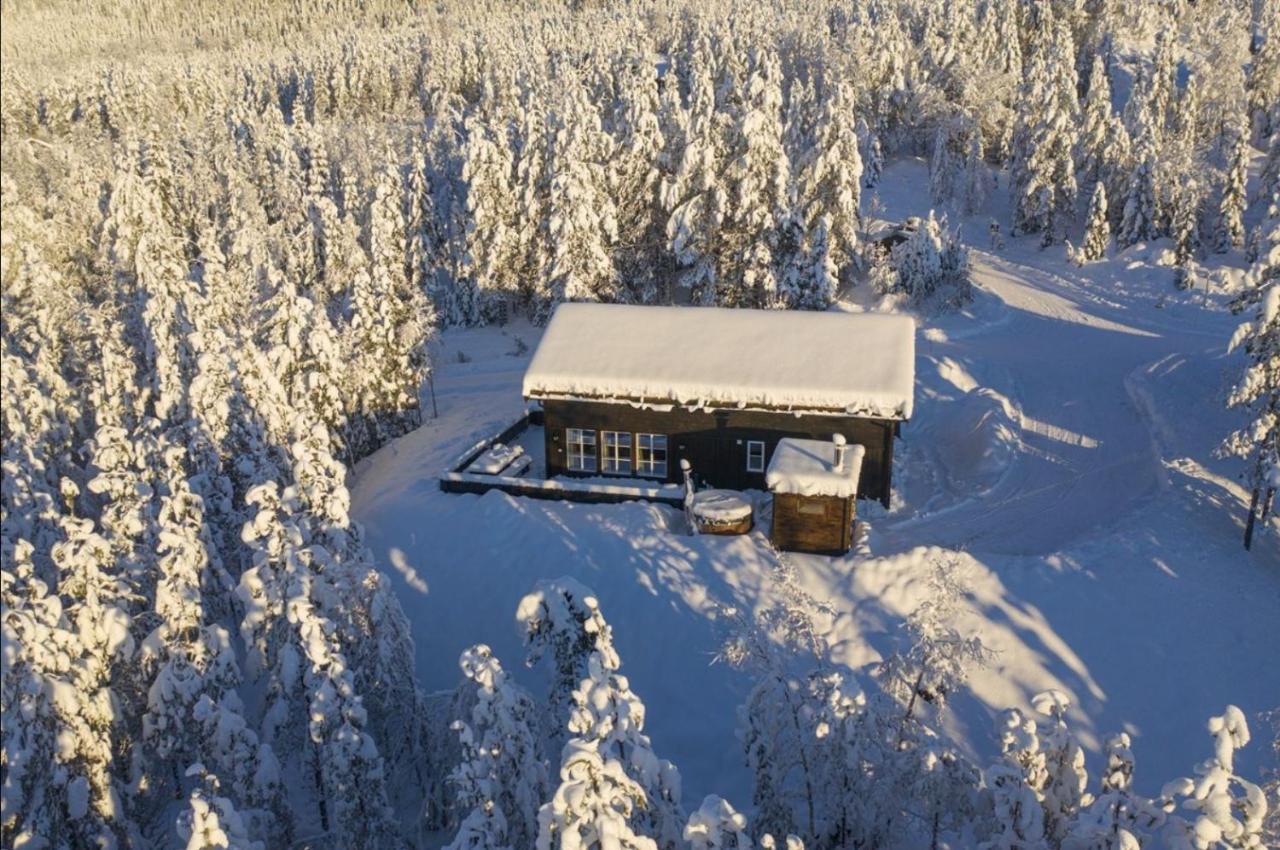 Cabin With Sauna In Trysil Kültér fotó